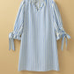 Blue Stripe Knotted Sleeve Dress