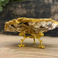Oyster Jewelry Holder RTS