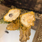 Oyster Jewelry Holder RTS